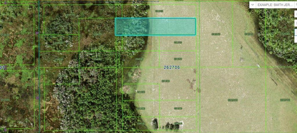 Photo of Old Polk City Rd, Polk City, FL 33868 (MLS # O6270683)
