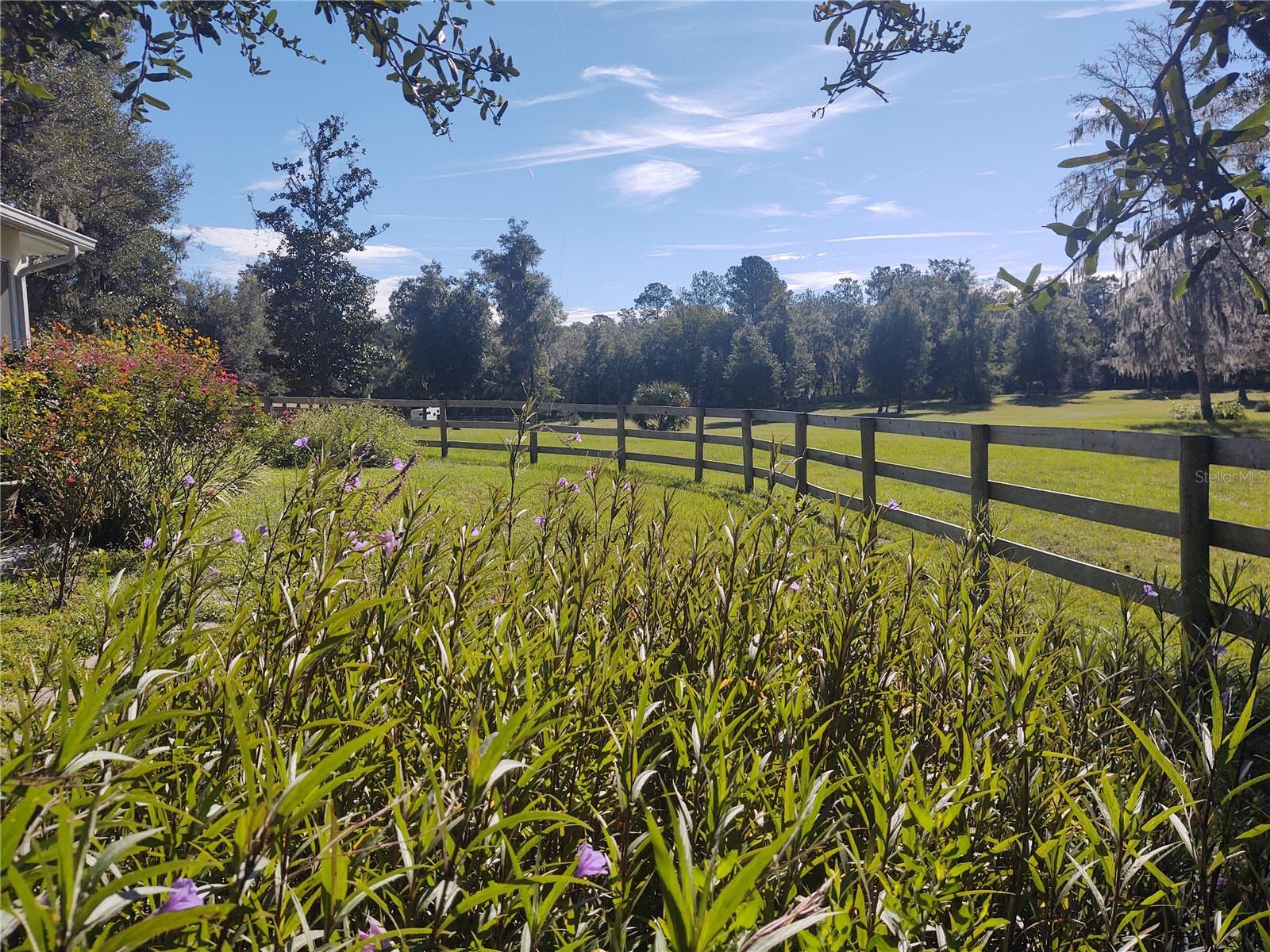 EQUESTRIAN OAKS - Residential Lease