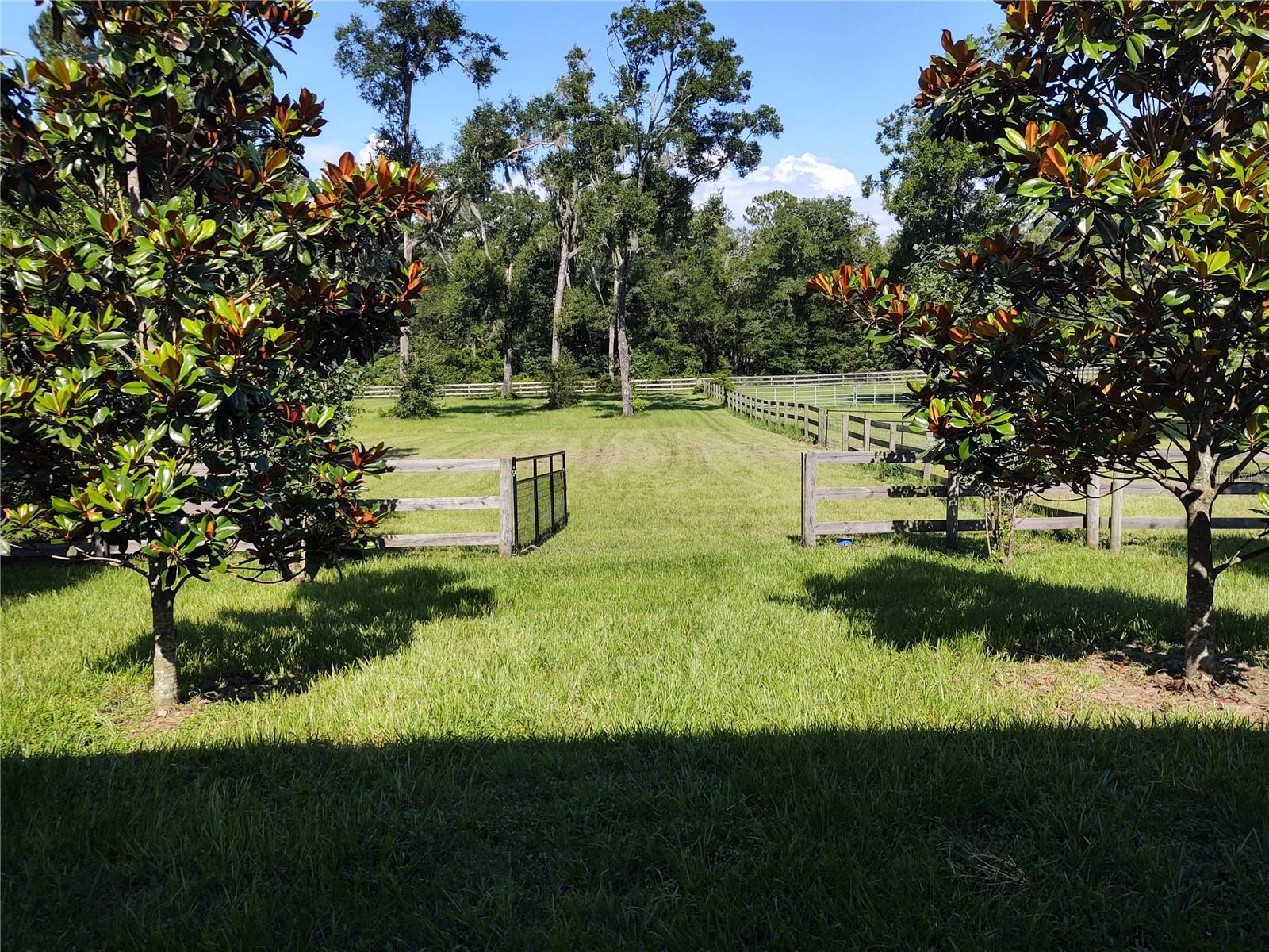 EQUESTRIAN OAKS - Residential Lease