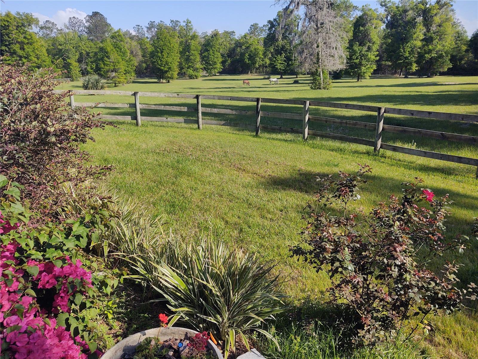 EQUESTRIAN OAKS - Residential Lease