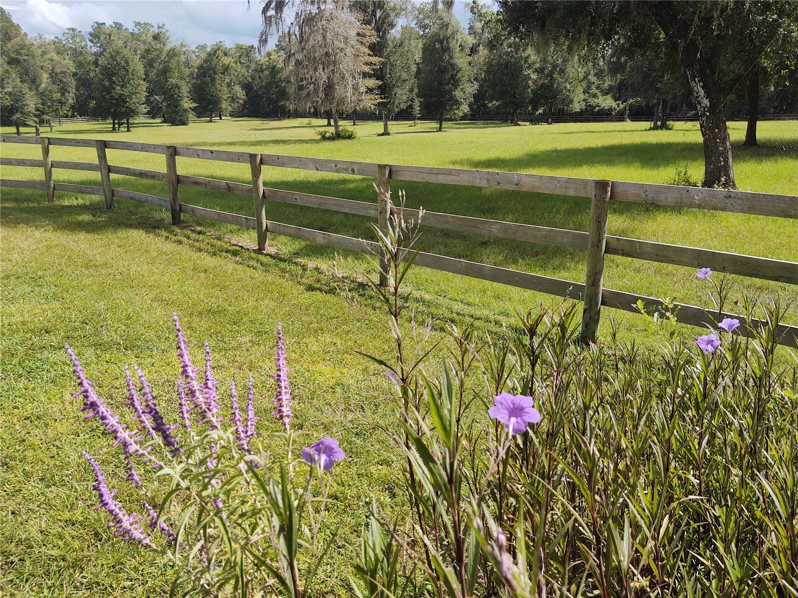 EQUESTRIAN OAKS - Residential Lease