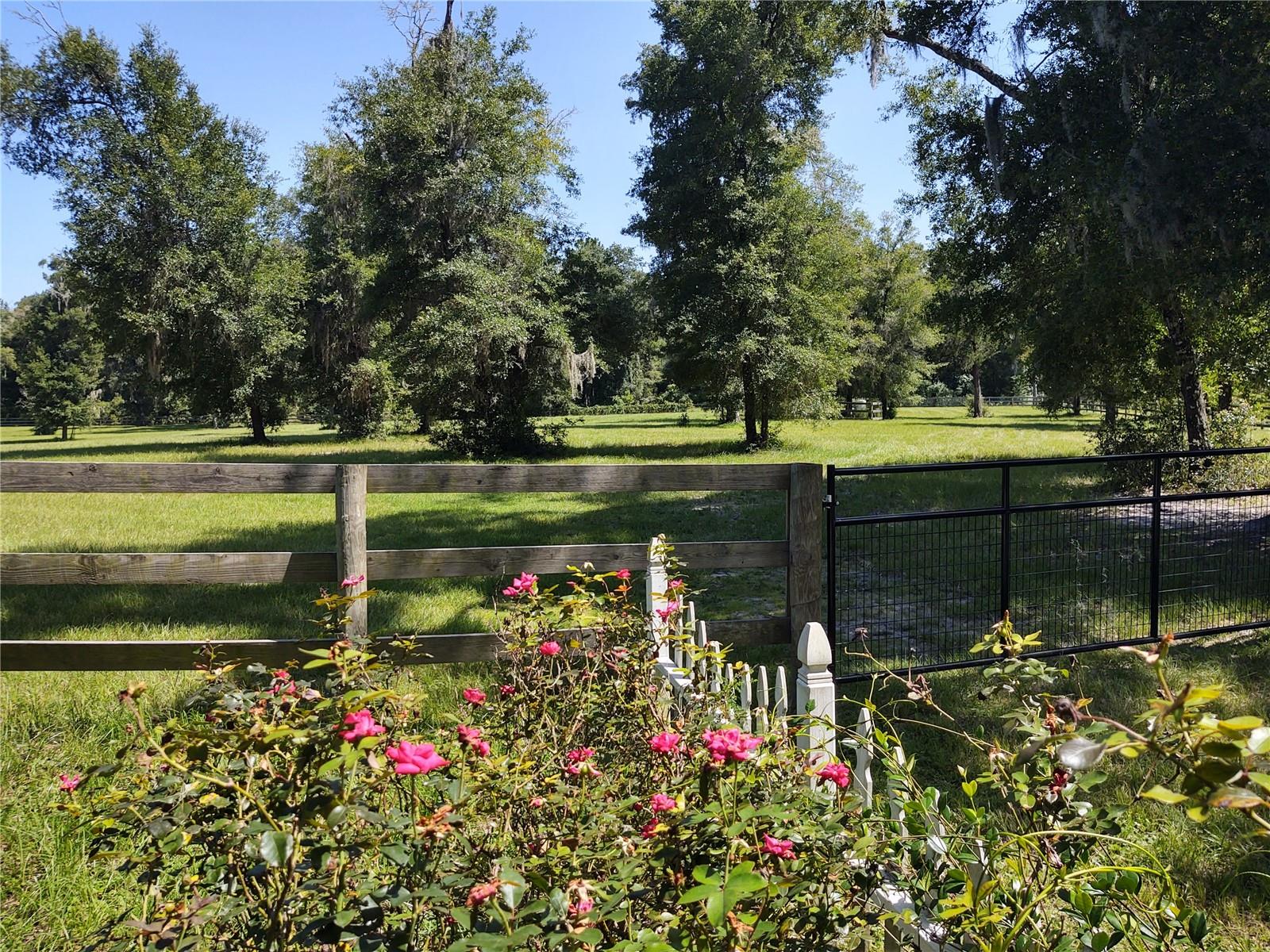 EQUESTRIAN OAKS - Residential Lease