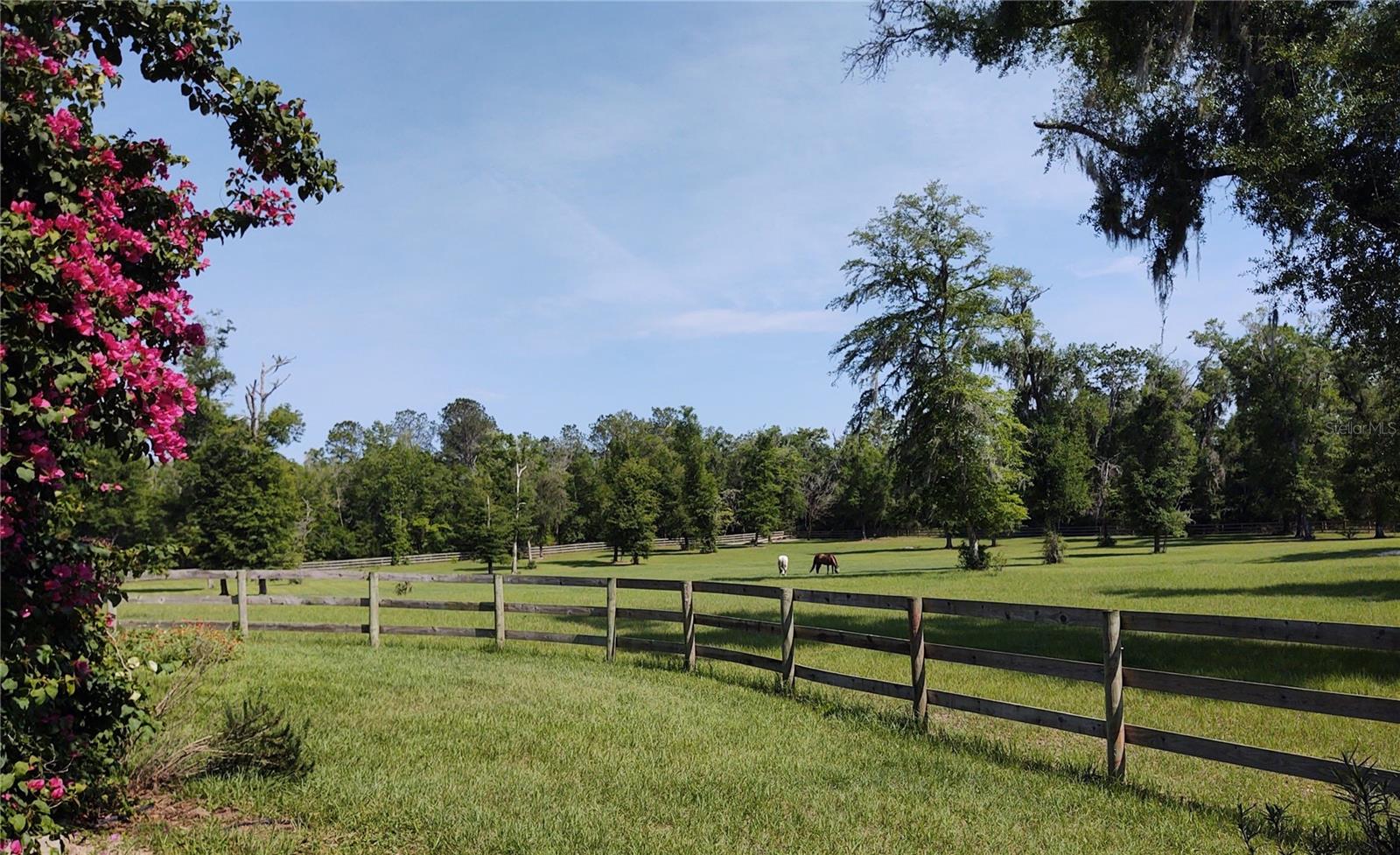 EQUESTRIAN OAKS - Residential Lease