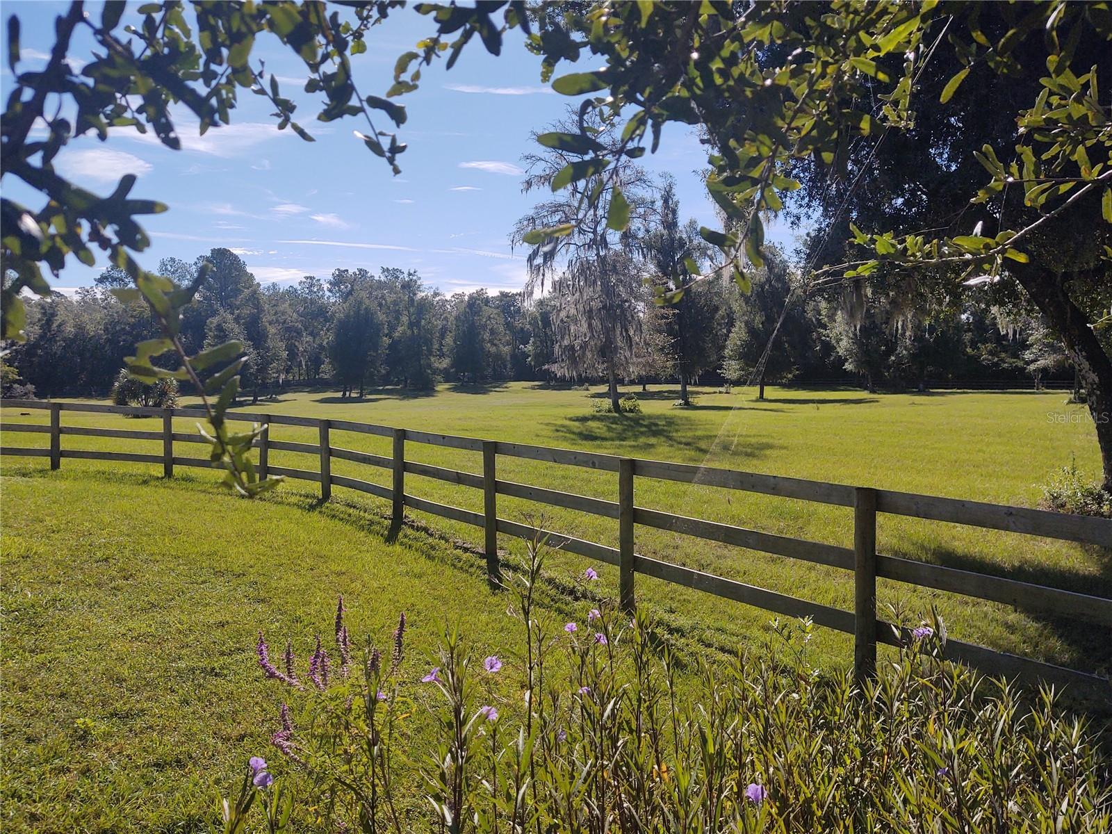 EQUESTRIAN OAKS - Residential Lease