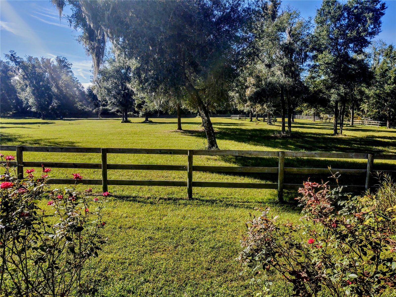 EQUESTRIAN OAKS - Residential Lease