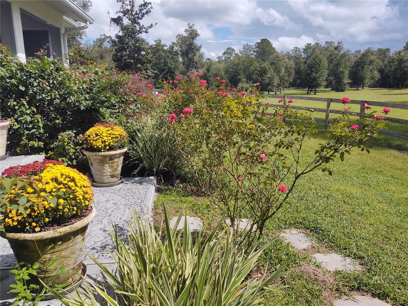 EQUESTRIAN OAKS - Residential Lease