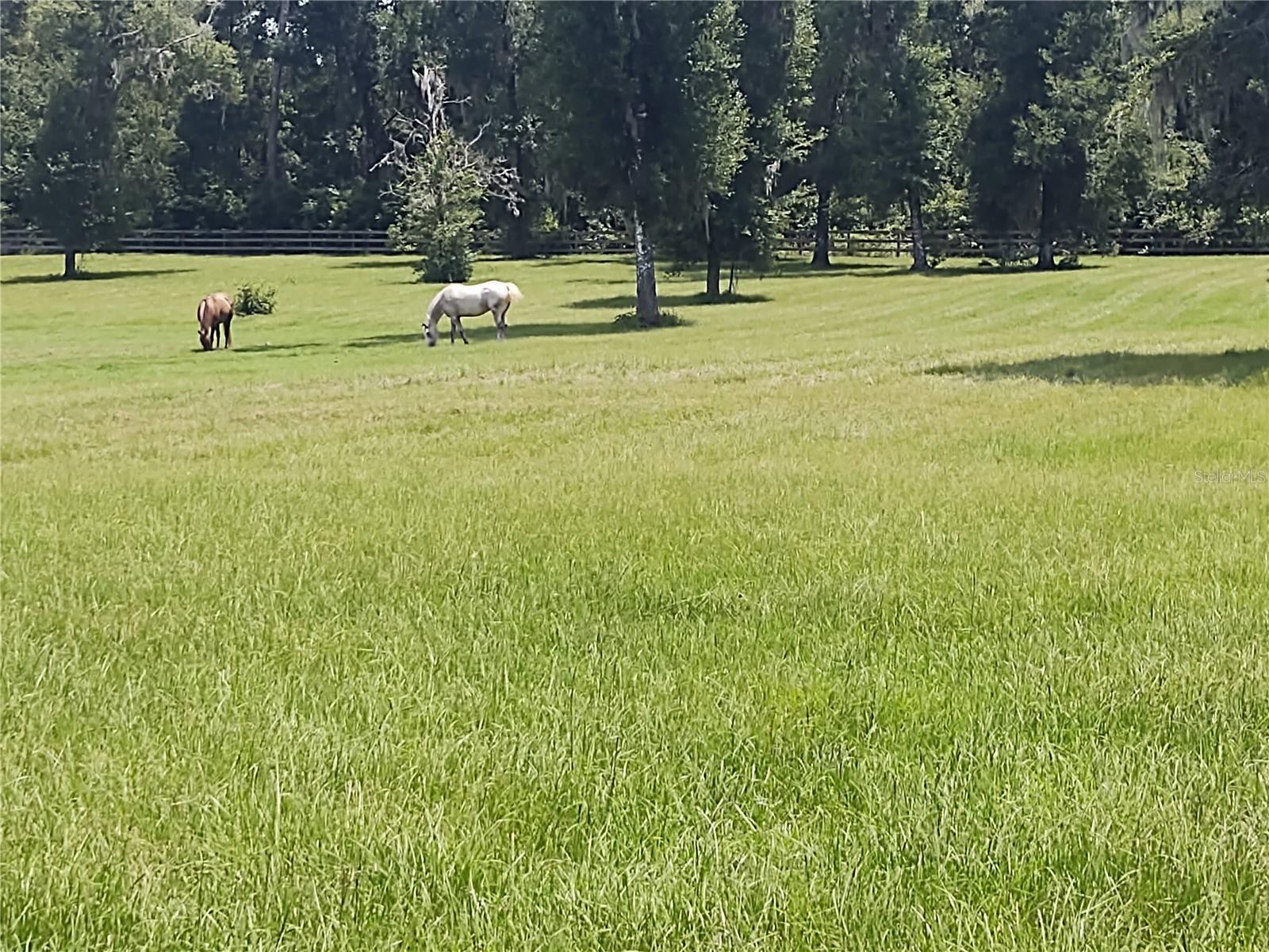 EQUESTRIAN OAKS - Residential Lease