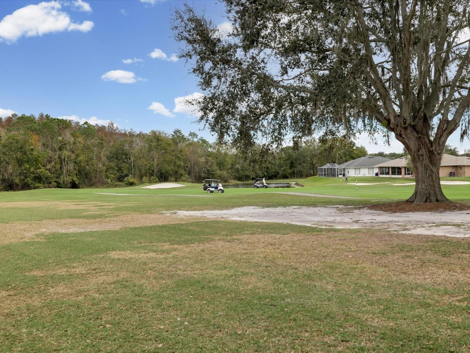 TAMPA BAY GOLF TENNIS CLUB - Residential