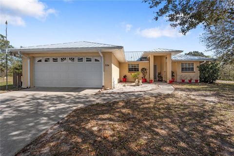 Single Family Residence in MYAKKA CITY FL 534 LOGUE ROAD.jpg