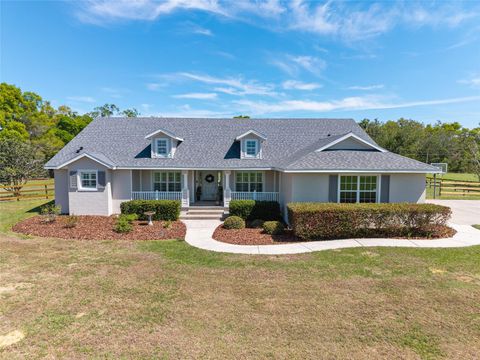 Tiny photo for 12975 SE Us-301, Belleview, FL 34420 (MLS # OM721123)