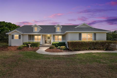 Tiny photo for 12975 SE Us-301, Belleview, FL 34420 (MLS # OM721123)