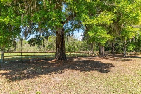 Tiny photo for 12975 SE Us-301, Belleview, FL 34420 (MLS # OM721123)