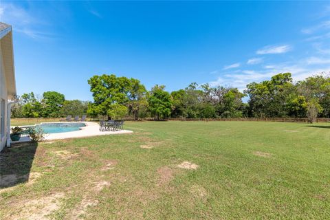 Tiny photo for 12975 SE Us-301, Belleview, FL 34420 (MLS # OM721123)