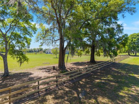 Tiny photo for 12975 SE Us-301, Belleview, FL 34420 (MLS # OM721123)
