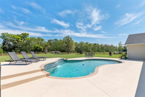 Tiny photo for 12975 SE Us-301, Belleview, FL 34420 (MLS # OM721123)