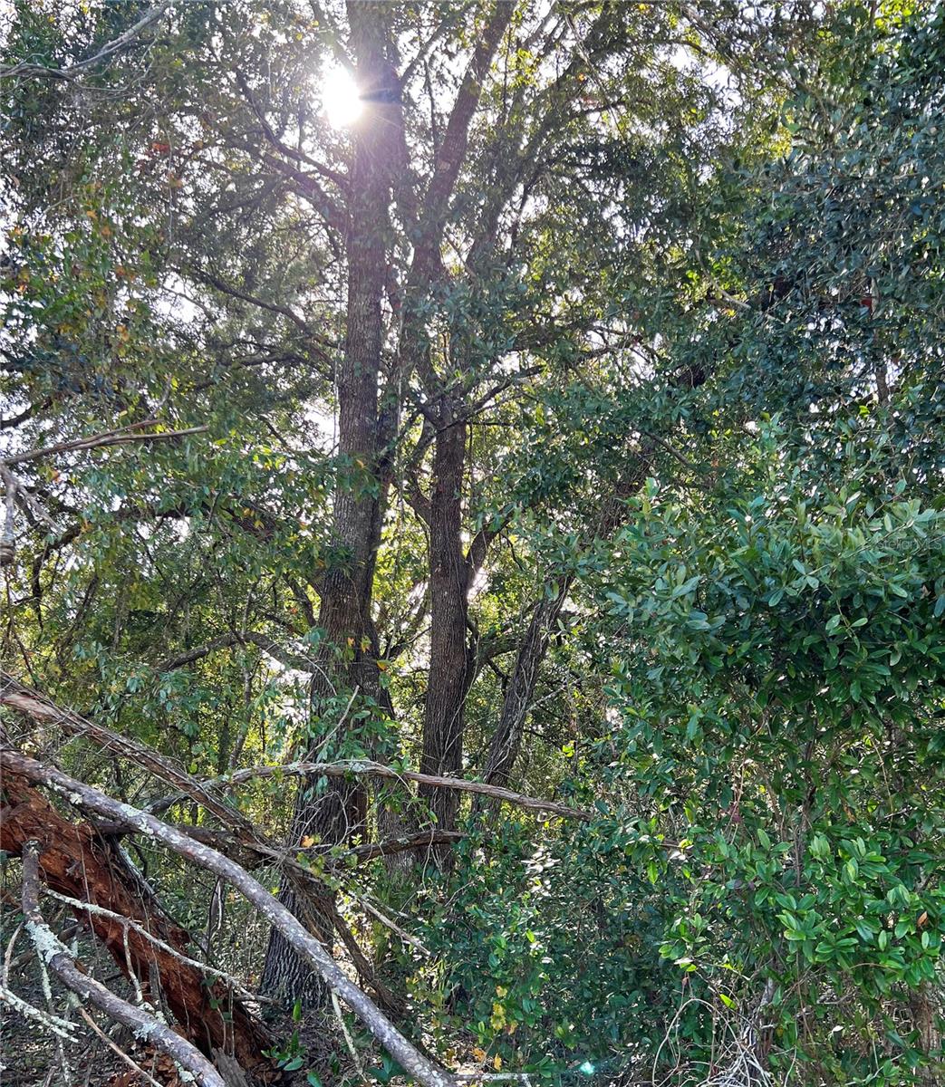 MARION OAKS UNIT 3 - Land