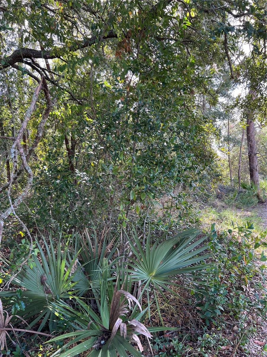 MARION OAKS UNIT 3 - Land