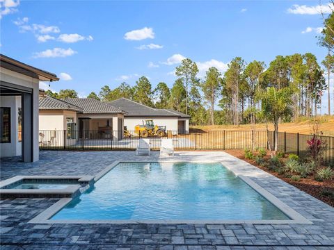 A home in MONTVERDE