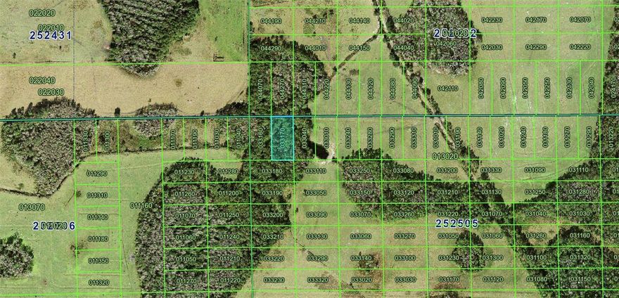 Vacant land opportunity in Polk County, FL! This approximately 1.25-acre parcel offers great potential for long-term investment or future use. Located in a rural area near Hwy 33, with convenient access to Central Florida growth corridors. Property may not have direct legal or physical access and no survey is available. Zoning, utilities, and buildability are unknown and should be independently verified. Buyer to perform all due diligence.