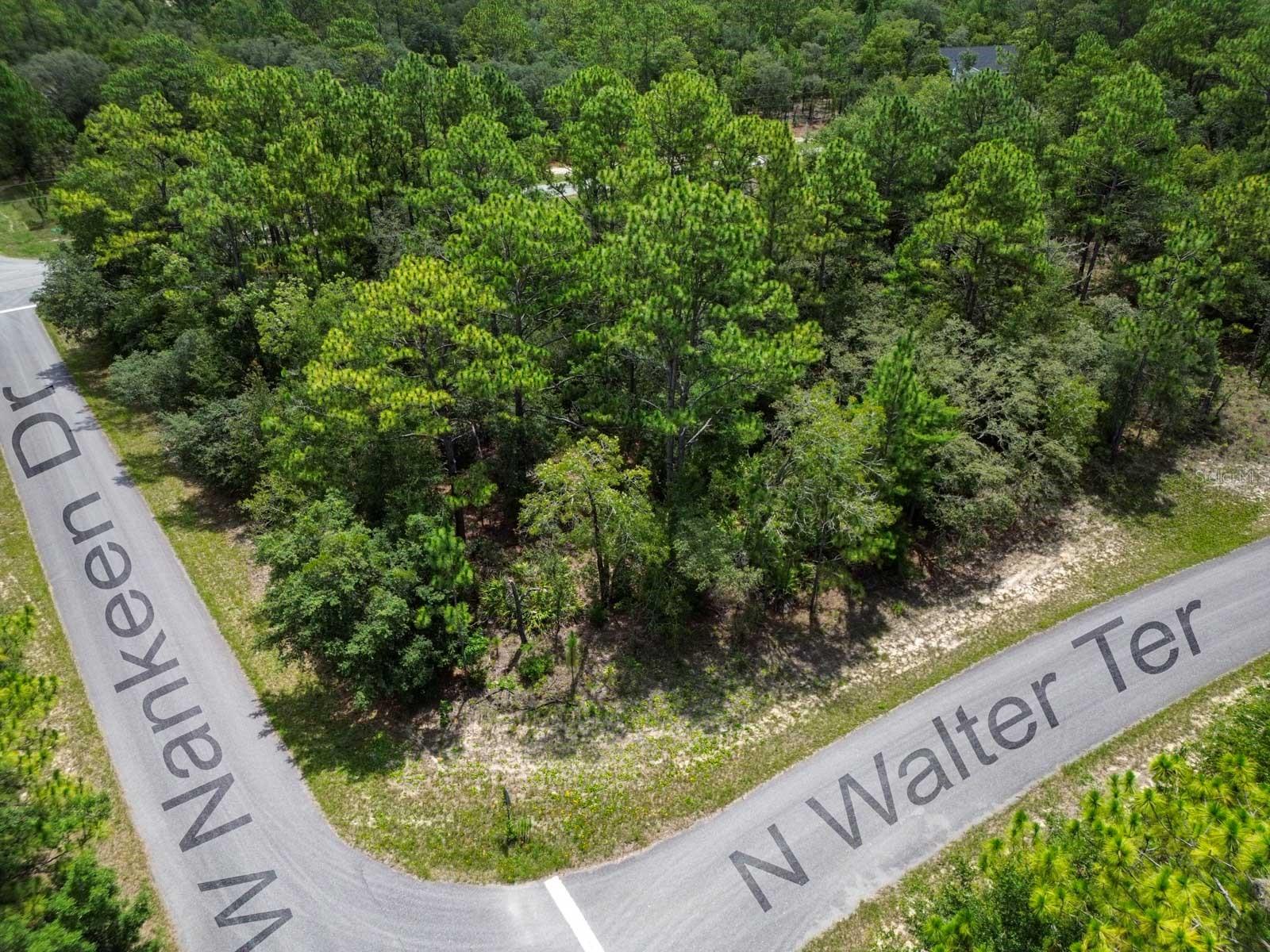 Imagine this: You find the perfect uncleared residential zoned vacant lot for sale tucked into the peaceful heart of Citrus Springs, FL, and the dream begins. It starts with a simple idea—space to breathe, a fresh canvas, a future full of promise. Welcome to 6549 N Walter Terrace, a 0.31-acre corner lot in a deed-restricted community with RUR zoning and future Residential Mixed Use (RMU) potential.
This prime parcel offers the ideal foundation for your custom-built dream home—and perhaps even an in-law suite or in-ground pool, depending on your survey. The lot sits at the paved intersection of two quiet roads in unincorporated Citrus County, surrounded by new construction homes and rising value. Utilities? You're covered: Broadband/high-speed internet, and Duke Energy electric are all nearby. Just bring your plans and install a well for water and septic system, and you’re on your way.
Living here means more than just owning land—it’s a lifestyle. Take a walk through the nearby Withlacoochee State Forest - Johnson Pond Trailhead, or enjoy a sunny afternoon at Central Ridge District Park. Embrace your creative side at ARTSEA ALCOVE, a local ceramic painting studio in Beverly Hills, FL—also known as the Manatee Capital of the World. Or tee off at the Citrus Springs Golf & Country Club, just minutes away.
There’s no HOA, no CDD, and no flood insurance requirement—just freedom to build, live, and enjoy. And remember: Property taxes may be affected with a change in ownership, so be sure to use the tax estimator for an accurate forecast.
Make your move. Clear this parcel and bring your vision to life—before someone else claims it first.