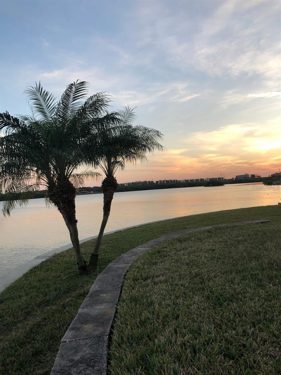 GRAND BELLAGIO AT BAYWATCH CONDO THE - Residential Lease