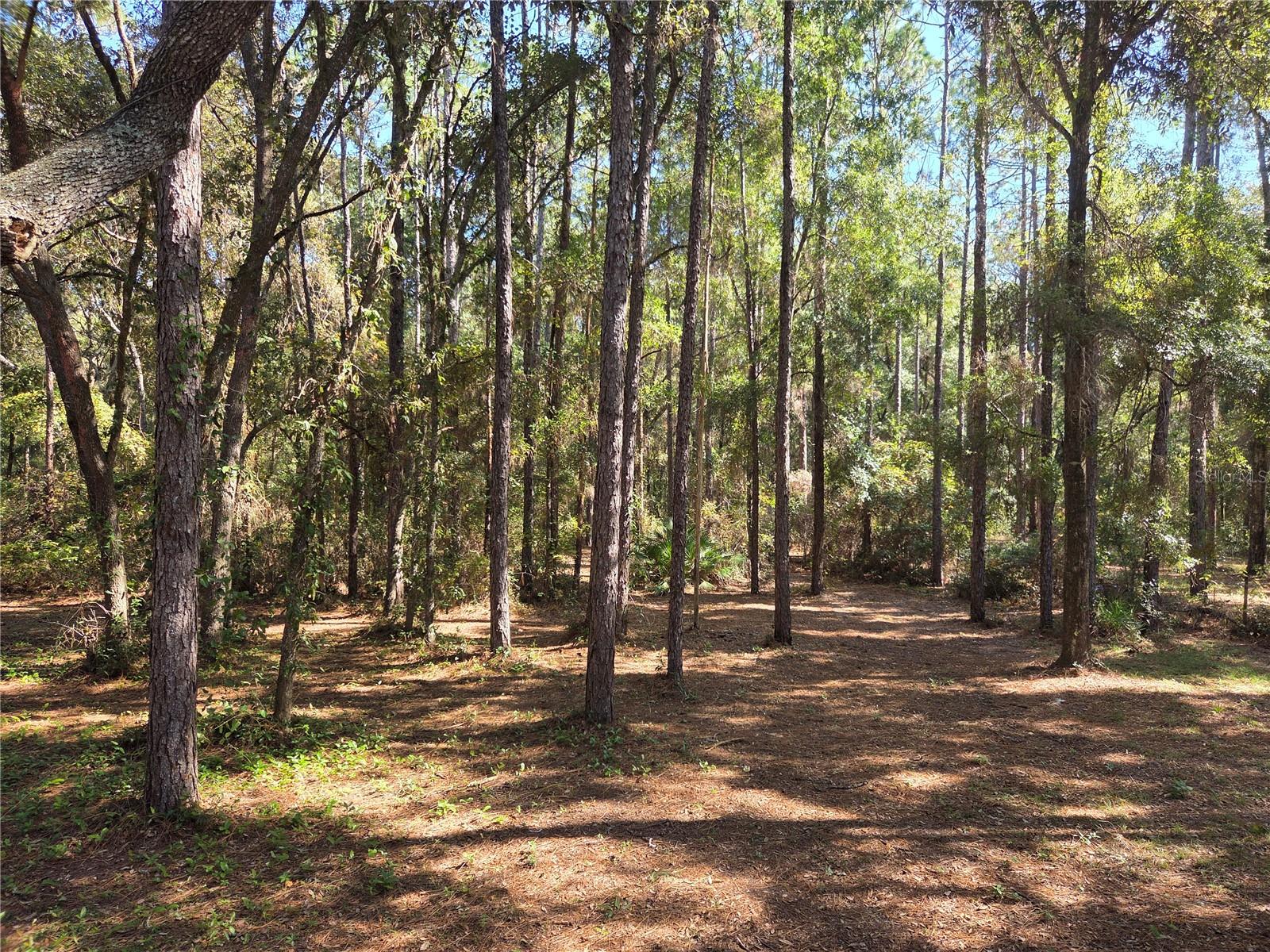 LAKE HIGHLANDS - Residential