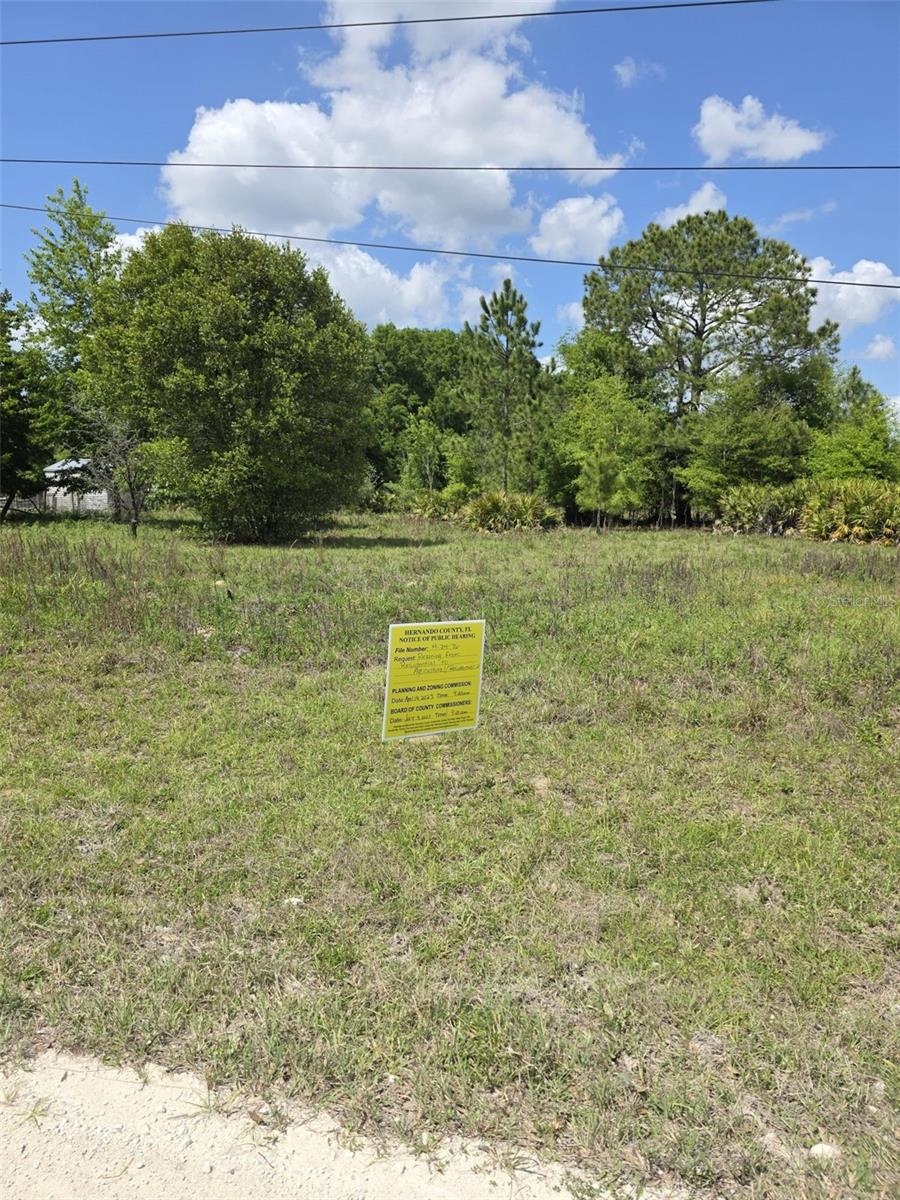 RIDGE MANOR ESTATE - Land