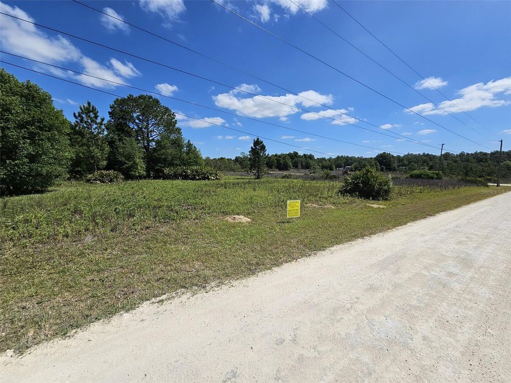 Photo of 33111 Square Stone Street, Webster, FL 33597 (MLS # TB8476224)