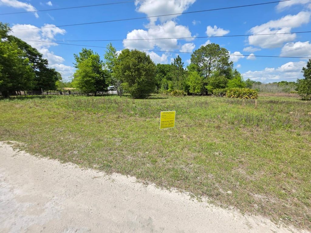 Photo of 33111 Square Stone Street, Webster, FL 33597 (MLS # TB8476224)