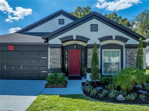 Photo of 5207 Algerine Place, Wesley Chapel, FL 33544 (MLS # L4956676)