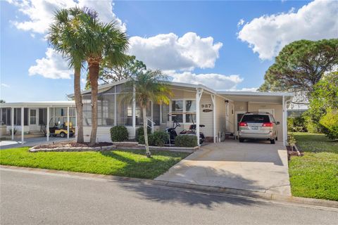 A home in PUNTA GORDA