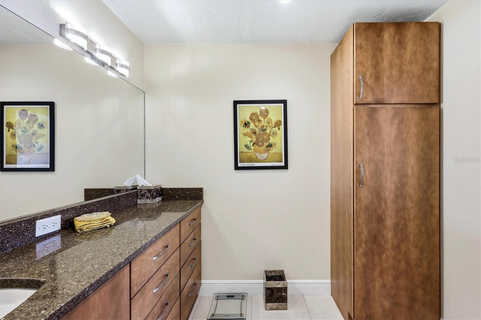 VILLAGE LAKE / THE MEADOWS - Residential