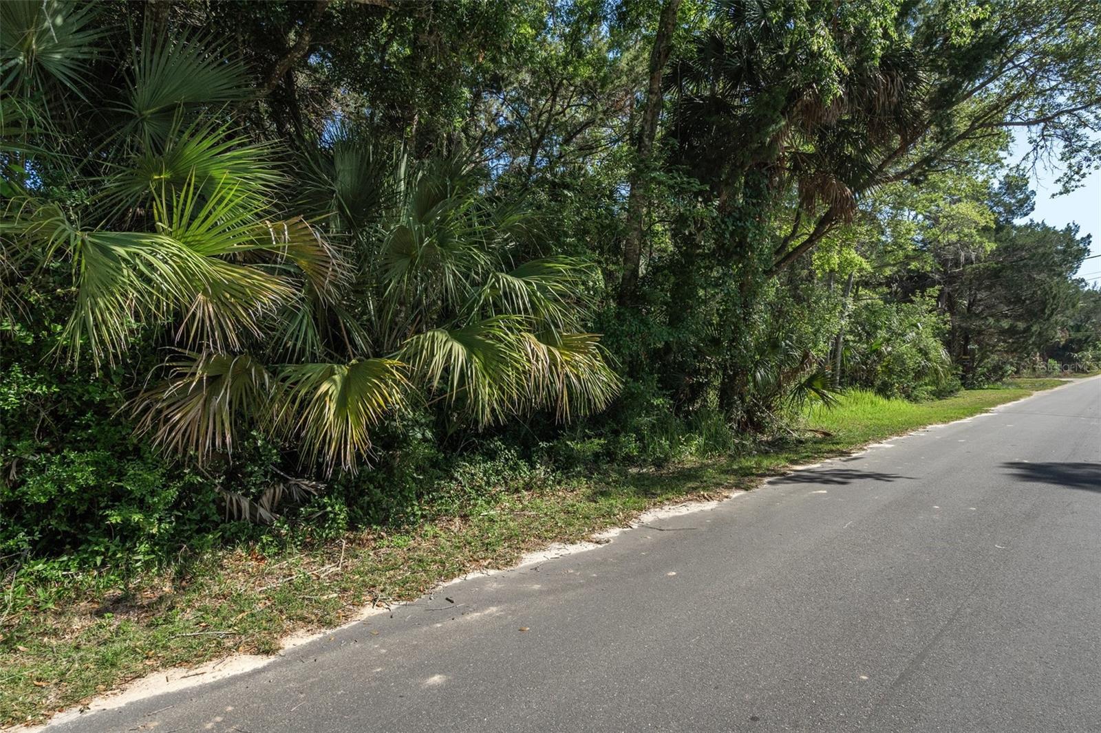 With .95 acres at your disposal, the canvas is yours to create! Whether you envision a cozy waterfront cottage, a spacious family retreat, or a luxurious vacation rental, this land provides the perfect foundation to build your dreams. Don’t miss the chance to design a home that captures the essence of Florida living and you cannot beat the location of Old Homosassa with it being well-known for its laid-back charm, rich history, and friendly community vibe. Just a stone's throw away from the famous Homosassa Springs Wildlife State Park and inside Old Homosassa you can drive your golf cart around to enjoy year-round events, festivals, and the delightful seasonal gatherings that bring locals together. Plus, you’re conveniently located near restaurants, and other essential amenities.