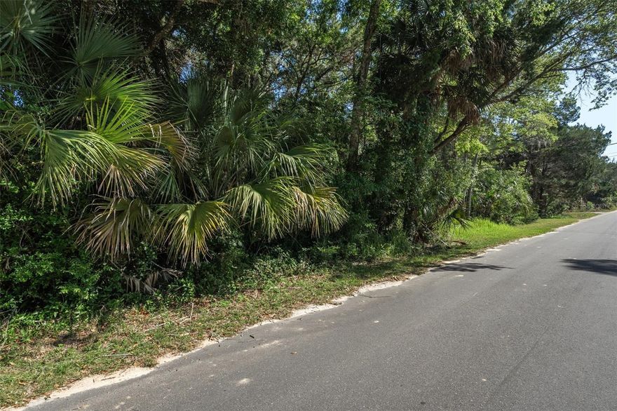 With .95 acres at your disposal, the canvas is yours to create! Whether you envision a cozy waterfront cottage, a spacious family retreat, or a luxurious vacation rental, this land provides the perfect foundation to build your dreams. Don’t miss the chance to design a home that captures the essence of Florida living and you cannot beat the location of Old Homosassa with it being well-known for its laid-back charm, rich history, and friendly community vibe. Just a stone's throw away from the famous Homosassa Springs Wildlife State Park and inside Old Homosassa you can drive your golf cart around to enjoy year-round events, festivals, and the delightful seasonal gatherings that bring locals together. Plus, you’re conveniently located near restaurants, and other essential amenities.