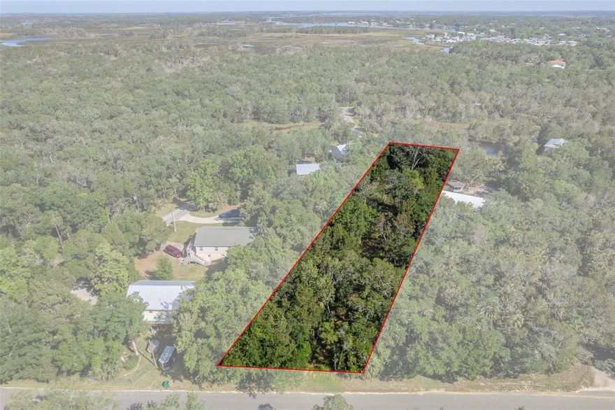 WATEFRONT/Vacant Land. Seller Motivated. Rare opportunity to own nearly a full acre (.95) of WATERFRONT property in the heart of Old Homosassa. This spacious homesite offers a setting to build your dream coastal retreat while enjoying the relaxed Old Homosassa waterfront lifestyle. With water access and plenty of room for a custom home, boat storage, outdoor entertaining areas, and space for all your recreational toys, the possibilities are endless.  Located in a golf-cart community, you can easily ride to nearby waterfront restaurants, marinas, local shops, and the Homosassa River.  Spend the days boating, fishing, kayaking, scalloping, and exploring the natural springs that make this area so special. Whether you're looking to build a full-time residence or a weekend getaway, this waterfront parcel offers space, privacy, and the charm that makes Old Homosassa one of Citrus County's most desirable coastal communities.