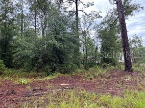 WILLISTON HIGHLANDS UN 5 - Land