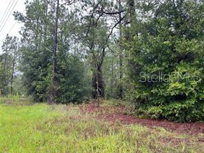 WILLISTON HIGHLANDS UN 5 - Land