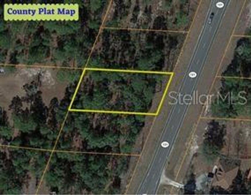 FANTASTIC LAND  & LOCATION, FOR A GREAT PRICE. On a State Road providing easy commute to Williston Shops, Restaurants and Schools. Great Location. Not in Flood Plain.  Buy this land as an investment or buy to build your dream home. No Timeline to build, and NO HOA.    Survey Available.