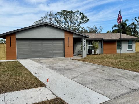 A home in PINELLAS PARK