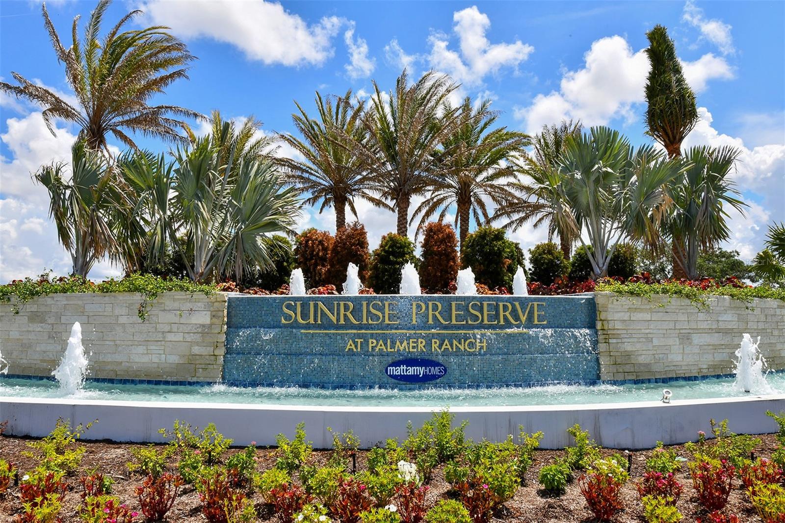 SUNRISE PRESERVE - Residential