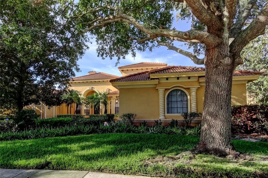 Photo of 10504 Sabella Drive, Trinity, FL 34655 (MLS # TB8406373)