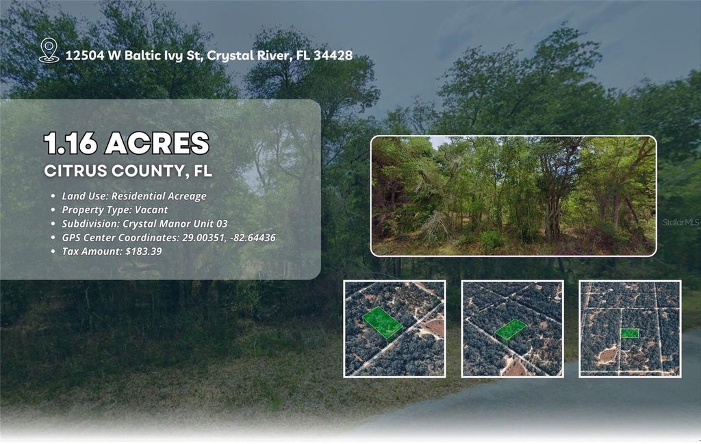 Photo of 12504 W Baltic Ivy Street, Crystal River, FL 34428 (MLS # OM714284)