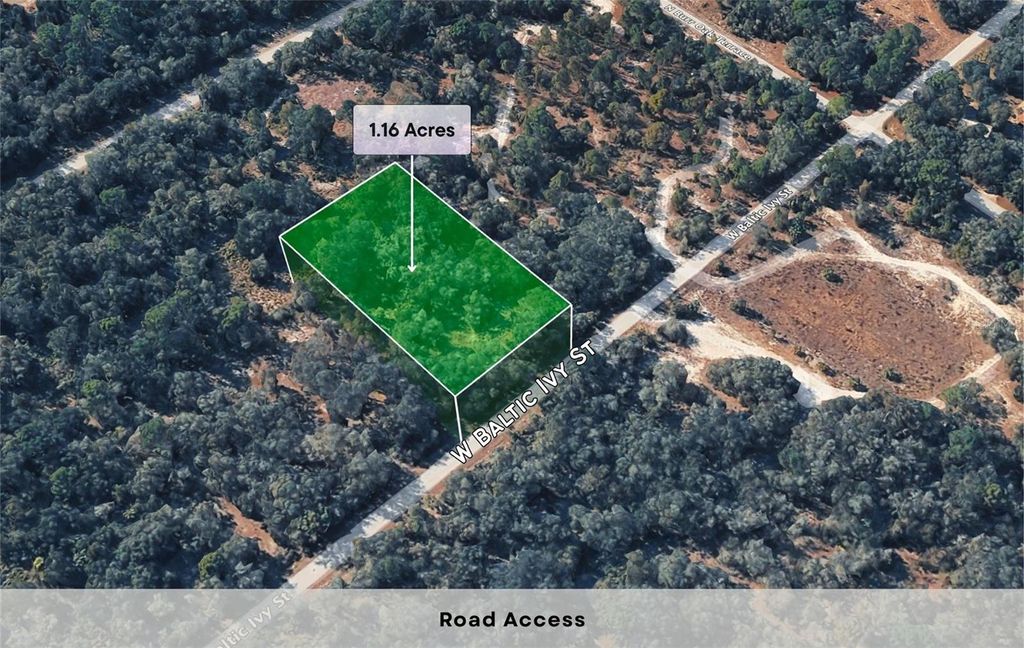 Photo of 12504 W Baltic Ivy Street, Crystal River, FL 34428 (MLS # OM714284)