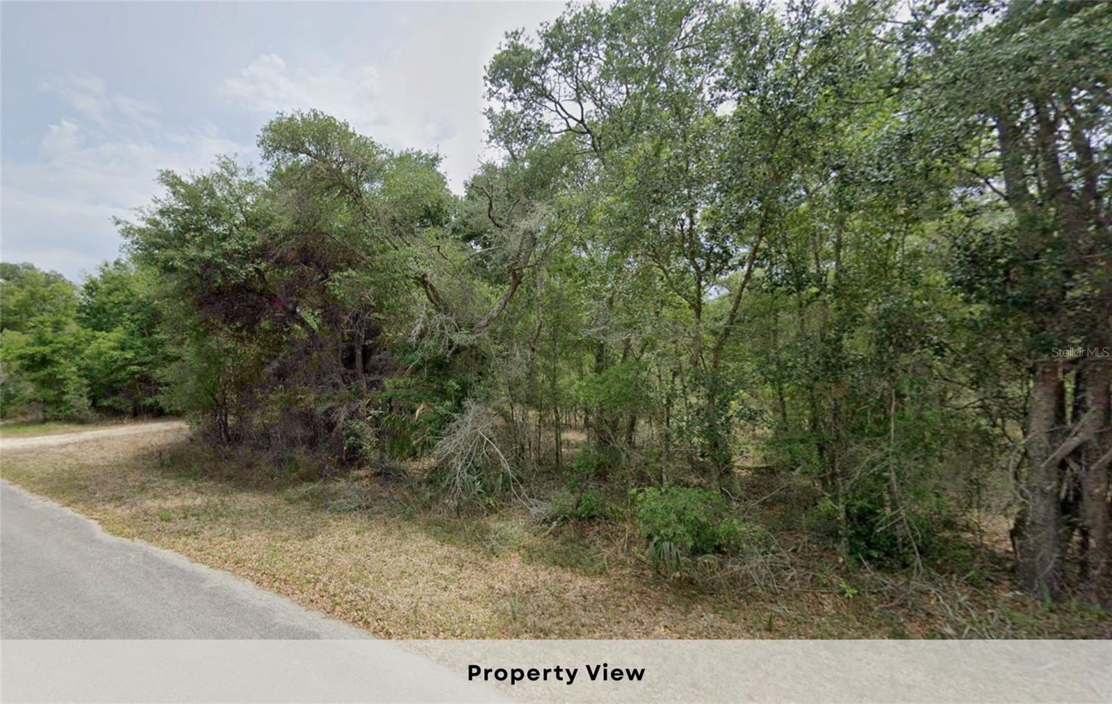 CRYSTAL MANOR UNIT 03 - Land