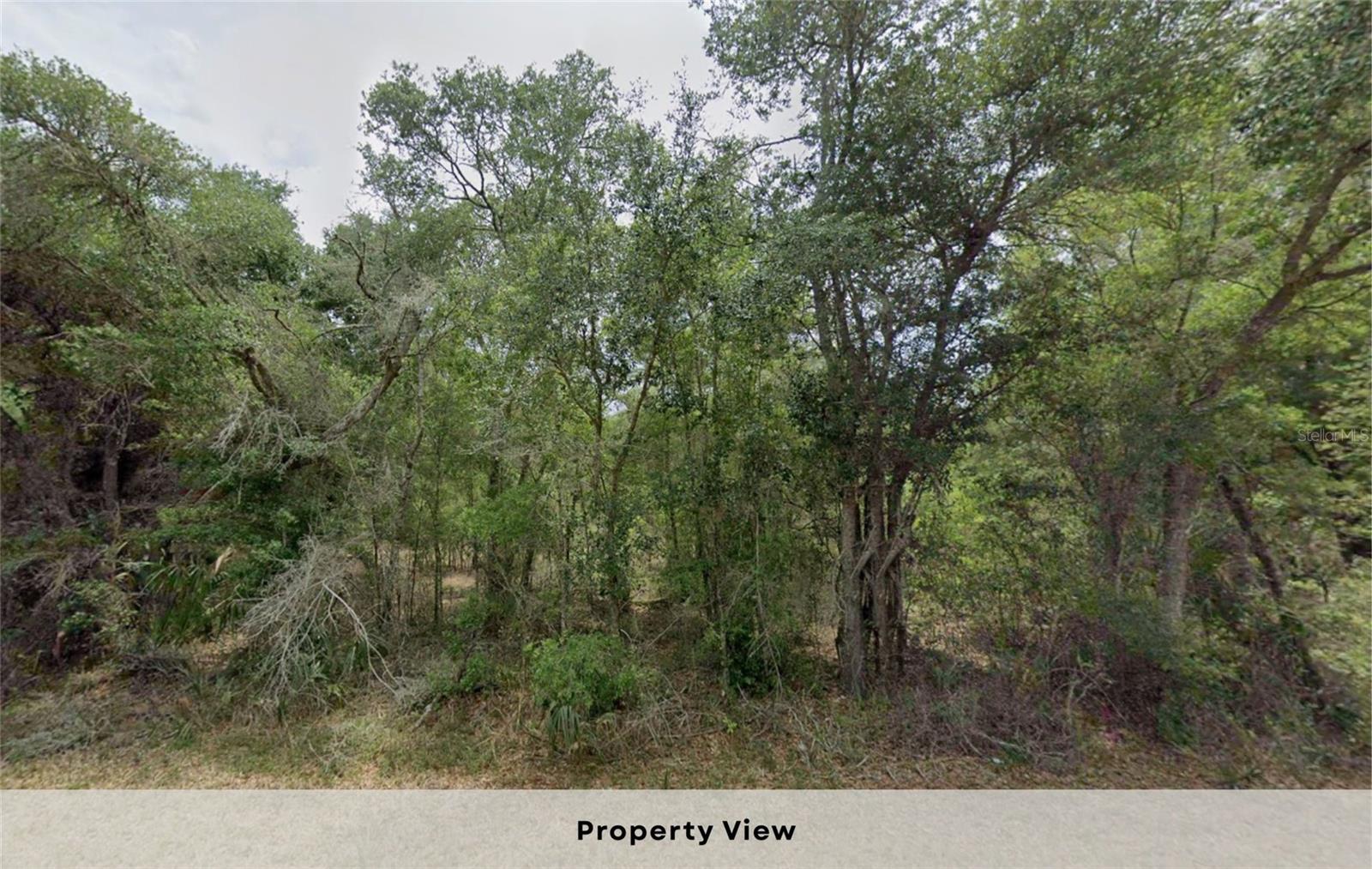 CRYSTAL MANOR UNIT 03 - Land