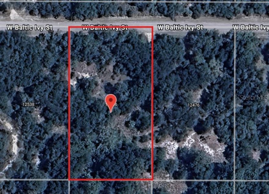 *** Owner Financing Available *** Buildable lot with the new Suncoast Expwy approximately two miles away (when finished)