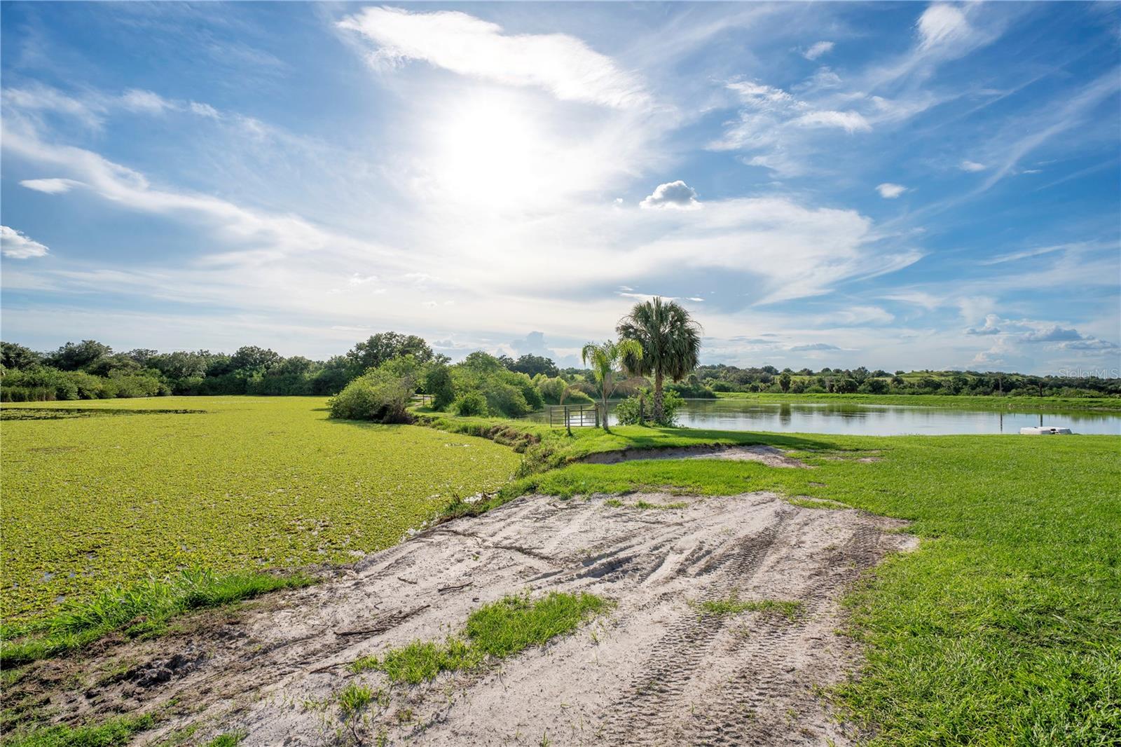 NOT IN SUBDIVISION - Residential