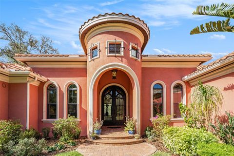 A home in LITHIA