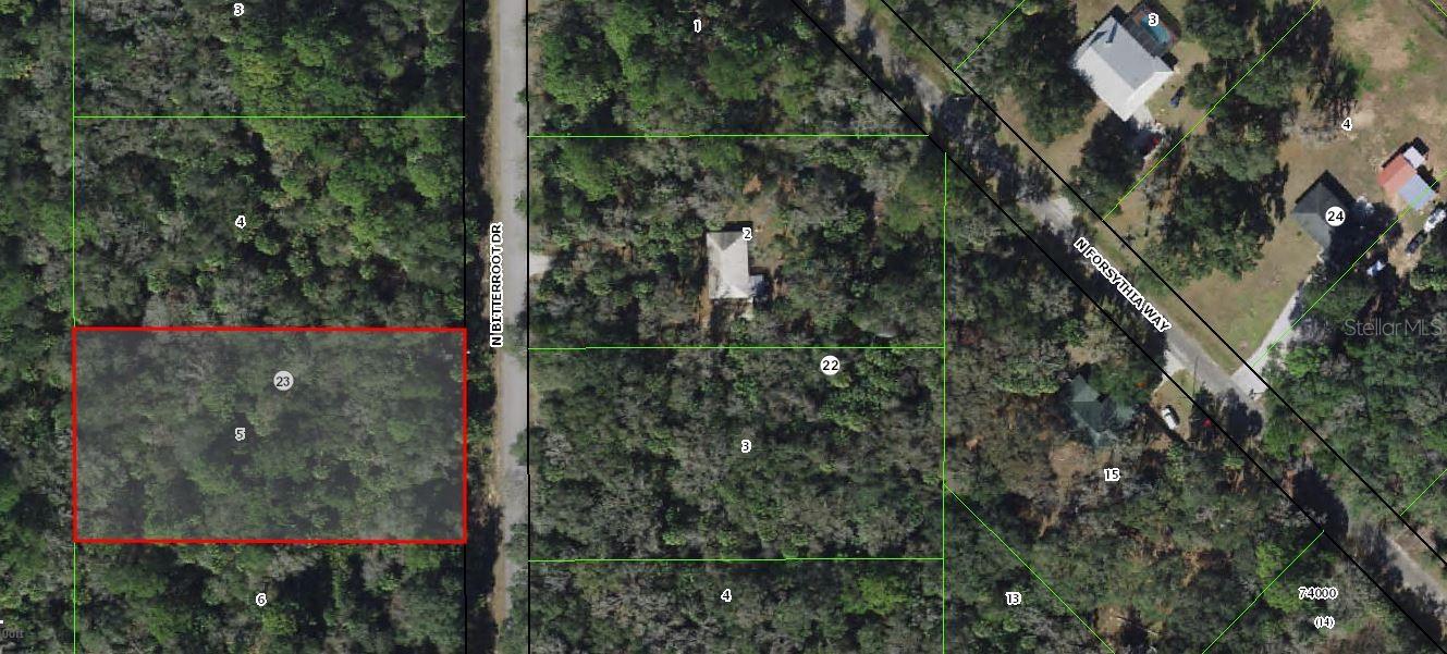 Enjoy the best of both worlds with this spacious 1.17-acre lot in the quiet, sought-after community of Crystal Manor. Surrounded by Florida’s natural beauty, yet just minutes from downtown Crystal River and all its amenities—shopping, dining, healthcare, and recreational activities.