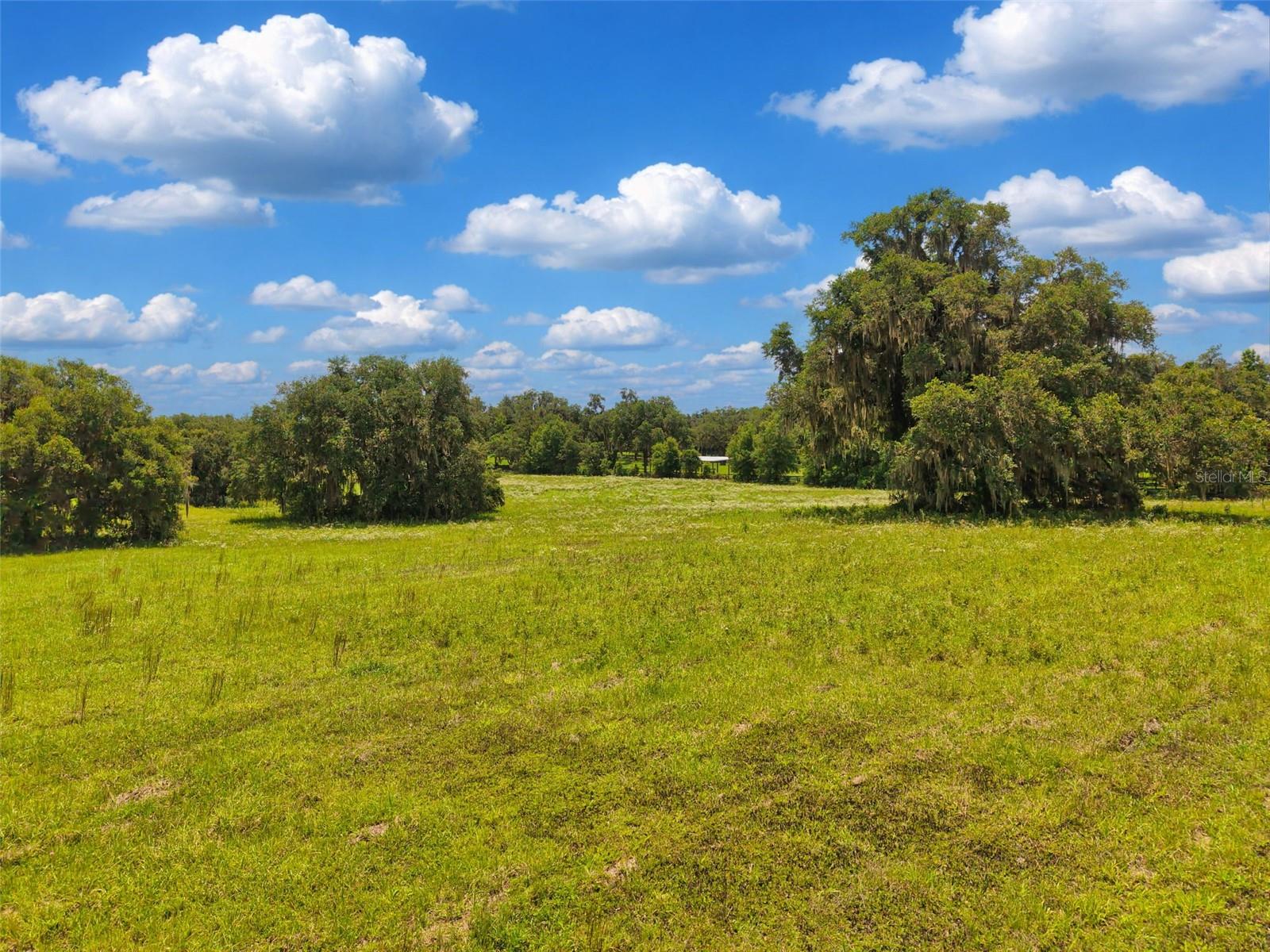 PARADISE FARM - Land